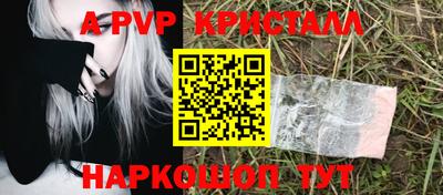 амф Можга
