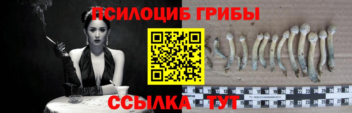Псилоцибиновые грибы MAGIC MUSHROOMS  Вход с VPN  Якутск  Псилоцибиновые грибы Cubensis 